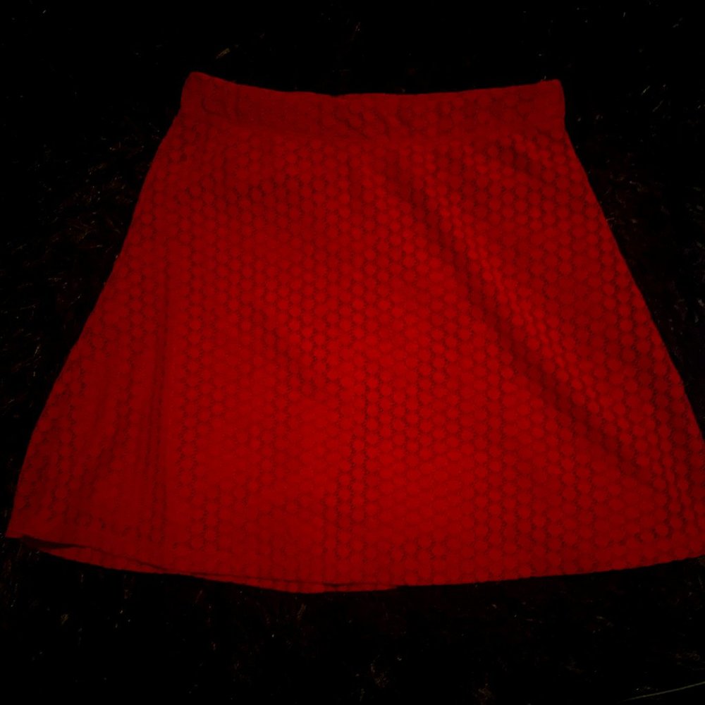 Maroon Skirt